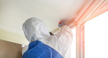 Do I Need to Test for Asbestos?